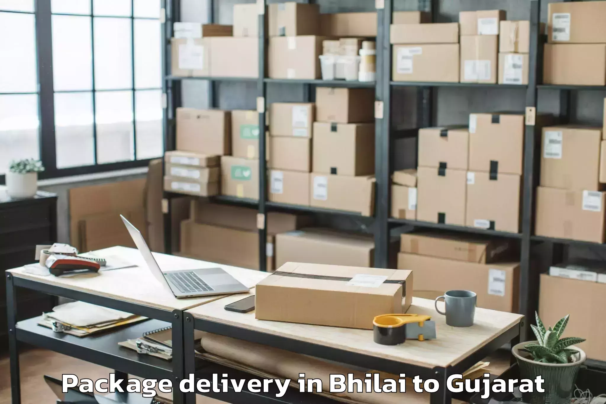 Get Bhilai to Waghodia Package Delivery